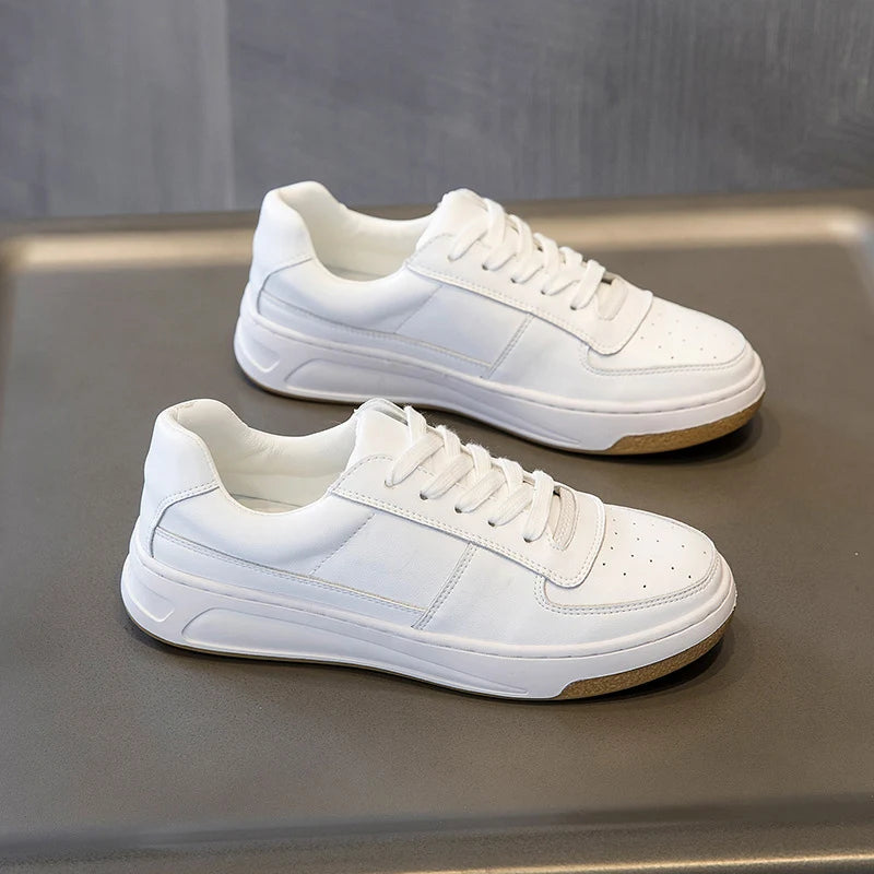 S22a324cdefea4907b5d0c43200c04f5bC