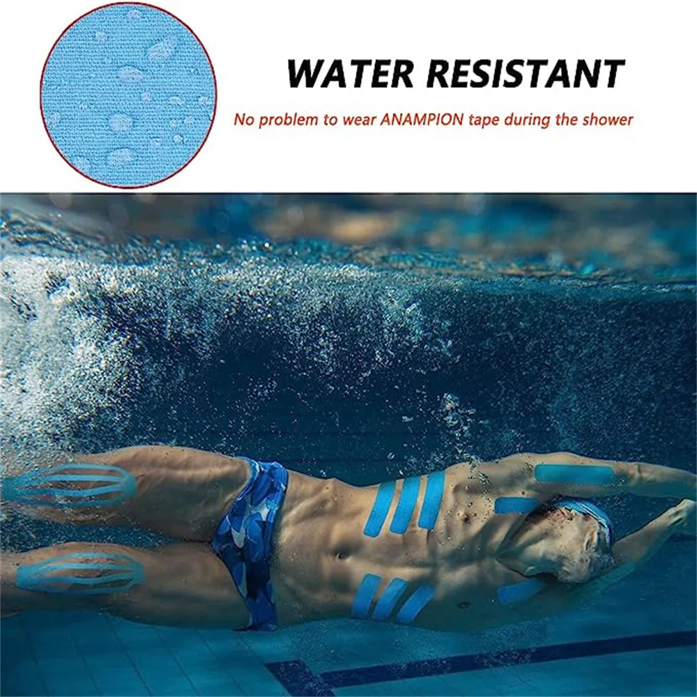 S9fbbb5c3679e4ccdb13ddcb0121799082