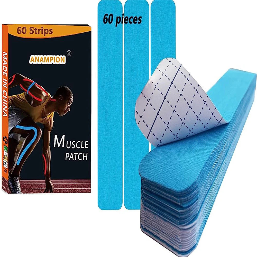 Sa2e686f5571a4ee28fba54fb1ba6ed76M